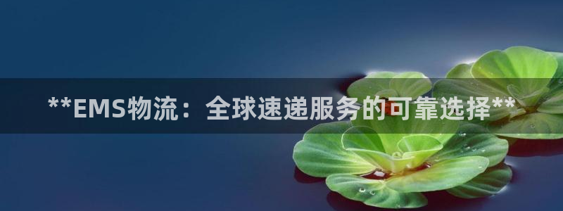 28圈龙虎：**EMS物流：全球速递