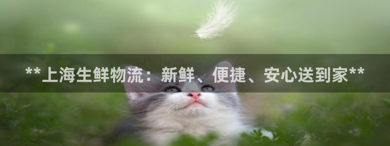 28圈注册链接：**上海生鲜物流：新