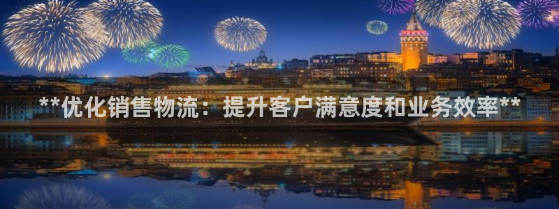 28圈辅助：**优化销售物流：提升客