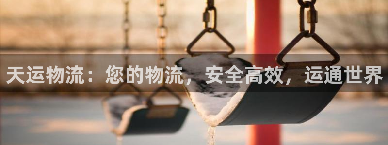 28圈登录不上咋回事：天运物流：您的