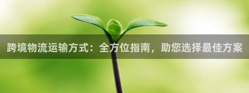 28圈充值不到账