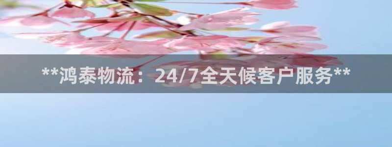 28圈怎么注册账号：**鸿泰物流：2