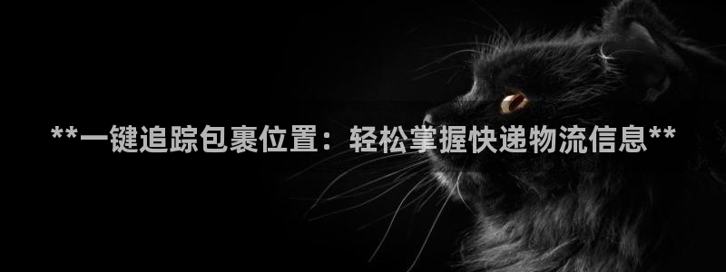 28圈连接