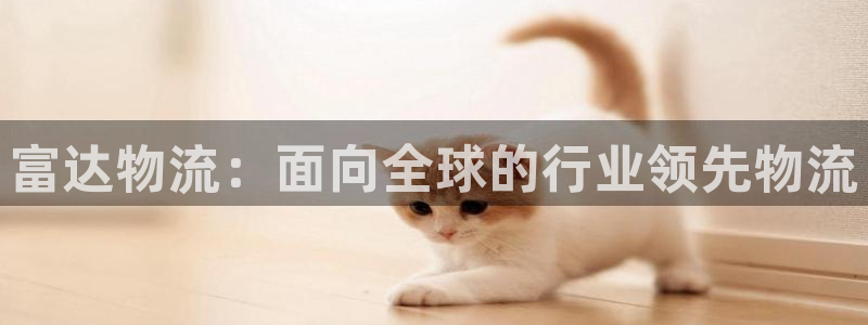 28圈软件：富达物流：面向全球的行业
