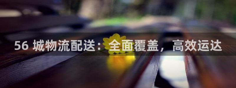28圈充值不到账怎么办：56 城物流