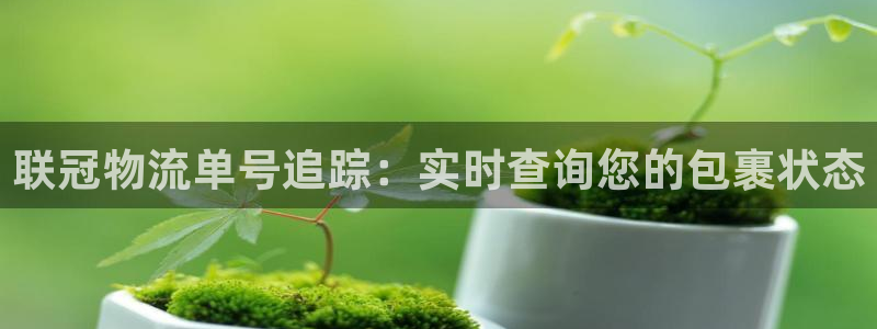 28圈绿骨头