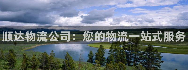28圈人头费：顺达物流公司：您的物流