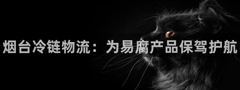 28圈怎么注册游戏名字：烟台冷链物流