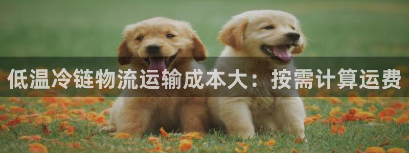 28圈软件是什么：低温冷链物流运输成