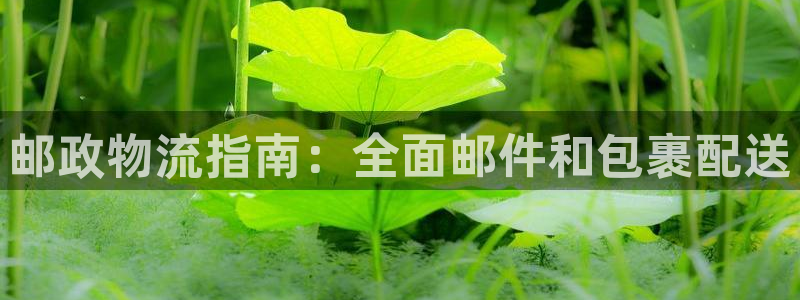 28圈.ccm南宫：邮政物流指南：全
