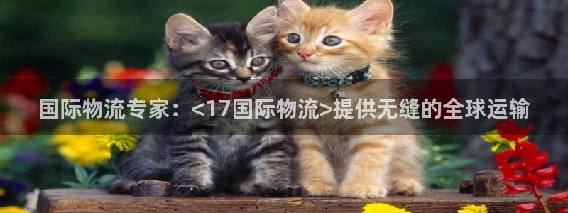 28圈注册网址：国际物流专家：<17