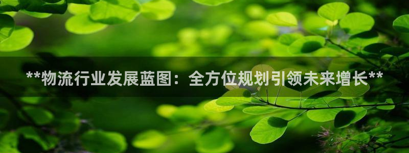 28圈怎么下载不了：**物流行业发展