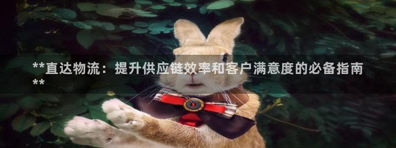 28圈麻将：**直达物流：提升供应链