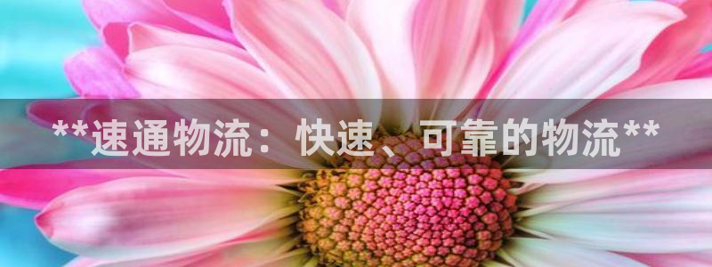 28圈注册网页：**速通物流：快速、