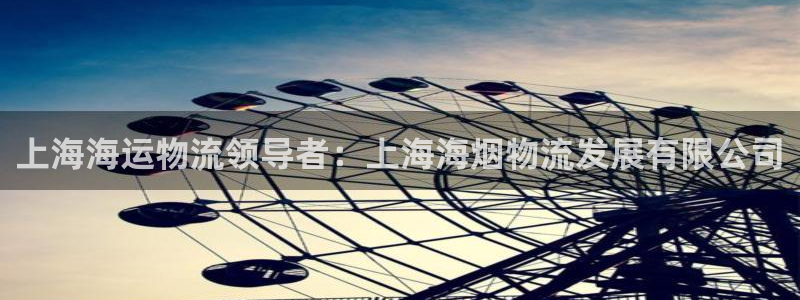28圈连接：上海海运物流领导者：上海