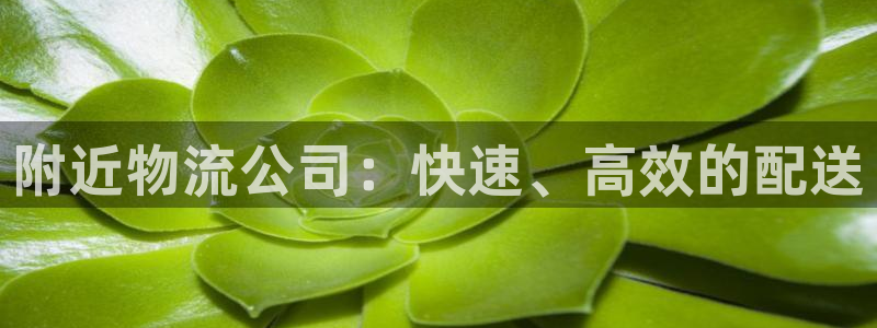 28圈官方官网版