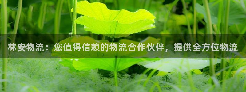 28圈ccm官网版：林安物流：您值得