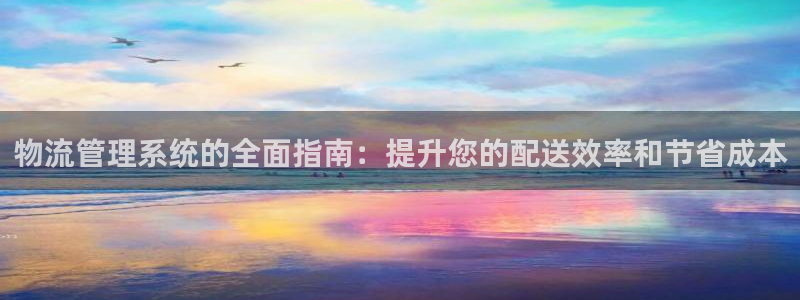 28圈链接来一个：物流管理系统的全面
