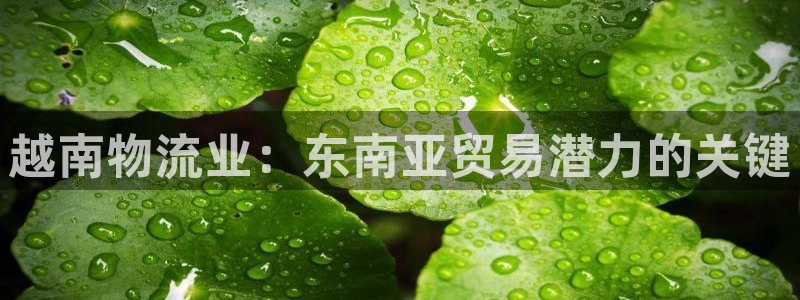 28圈如何看012路计划：越南物流业
