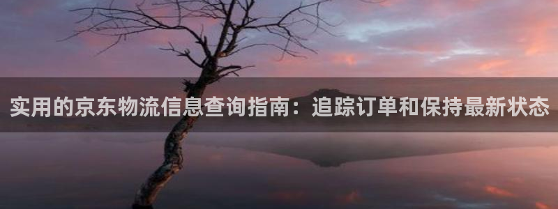 28圈充值方式：实用的京东物流信息查