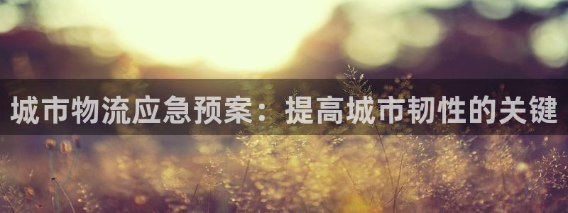 28圈.ccmo：城市物流应急预案：