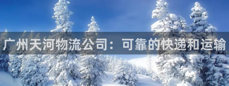 28圈充值不处理会怎么样