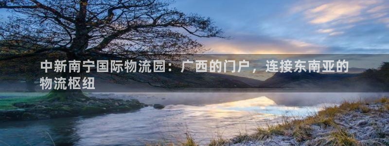 28圈人头费：中新南宁国际物流园：广
