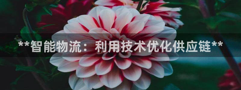 28圈的平台：**智能物流：利用技术