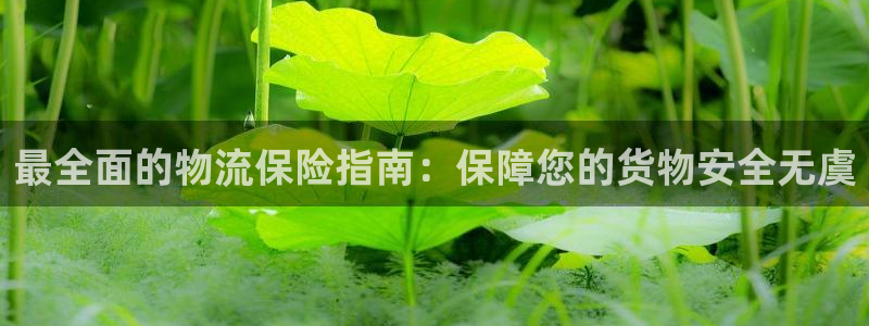 28圈登录用户名登录不上：最全面的物