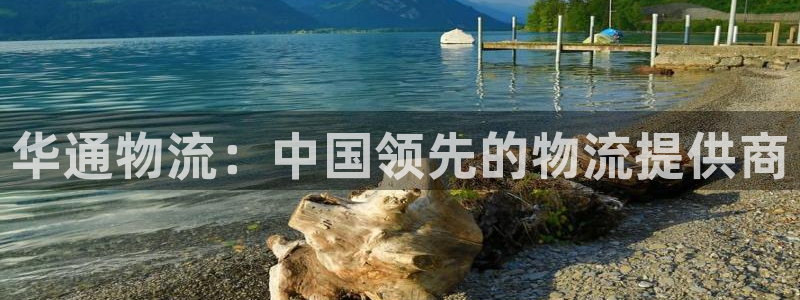 28圈注册网页：华通物流：中国领先的
