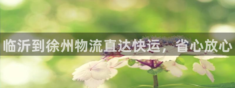 28圈pg麻将胡了：临沂到徐州物流直