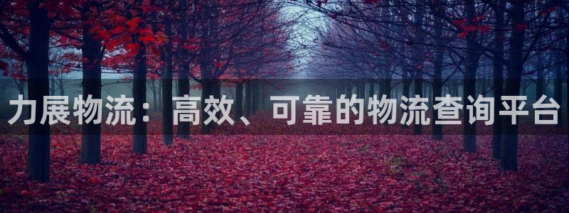 28圈注册网站谁有：力展物流：高效、