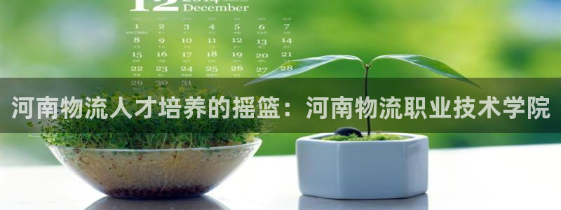 28圈能赢钱吗