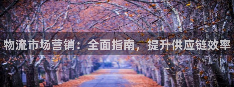 28圈相信品牌的力量：物流市场营销：