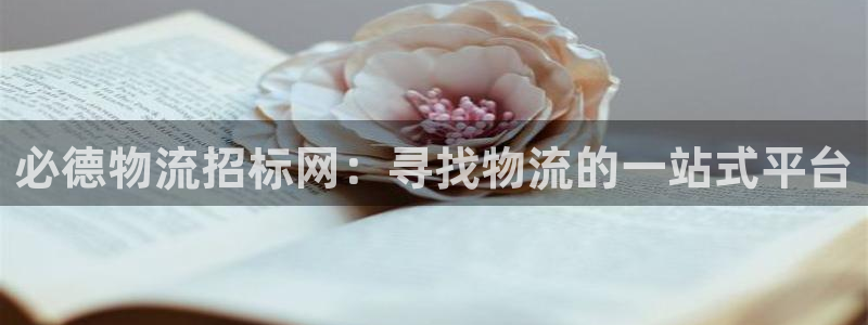 28圈口：必德物流招标网：寻找物流的