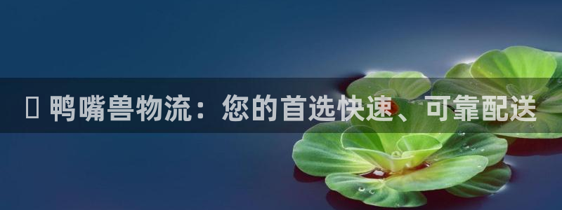28圈新用户怎么注册