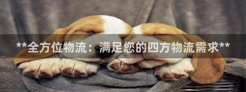 28圈提款一直没到：**全方位物流：