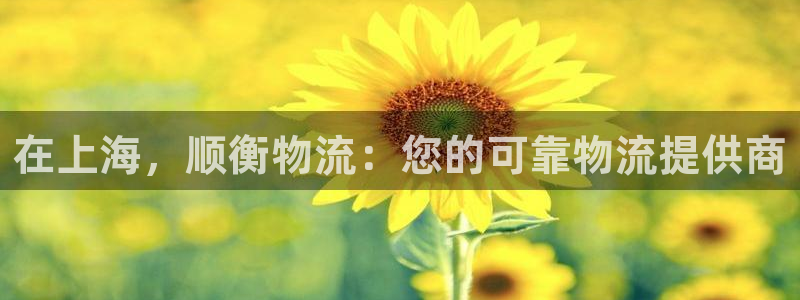 28圈反水