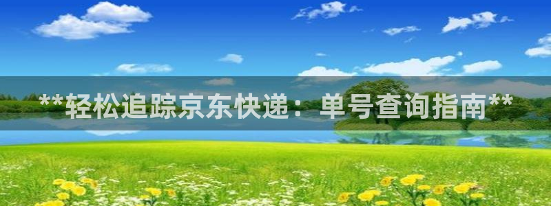 28圈加拿大28