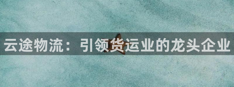 28圈注册教程