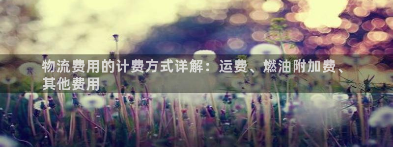 自行车28圈是什么意思：物流费用的计