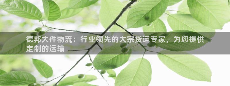 28圈加拿大走势
