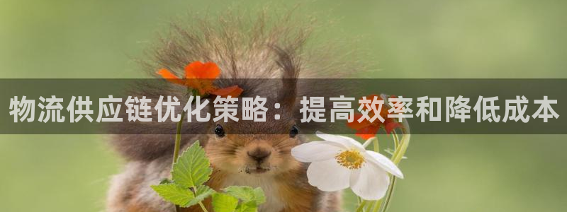 28圈南宫娱乐官网