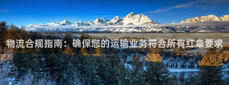 28圈注册地址：物流合规指南：确保您