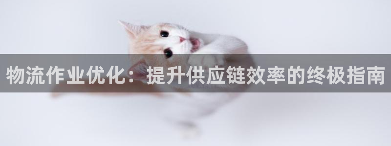 28圈注册网站谁有：物流作业优化：提
