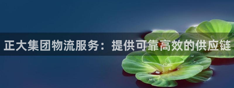 28圈返水怎么算的：正大集团物流服务