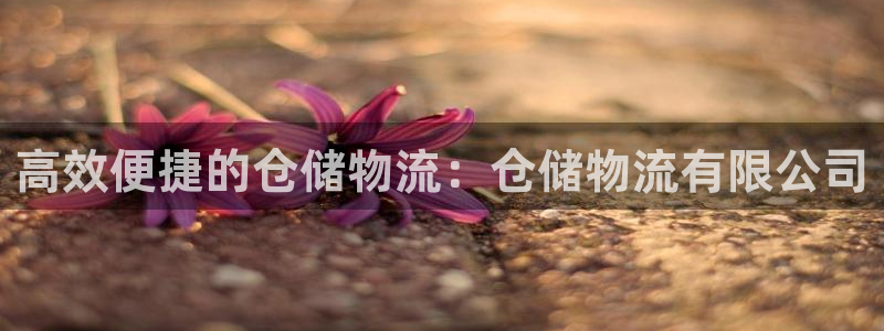 28圈加拿大6.0