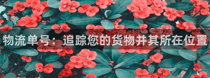 28圈注册过了警察知道吗