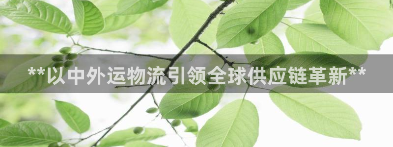 28圈官方