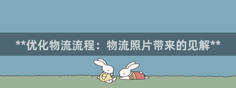 28圈官网版下载：**优化物流流程：